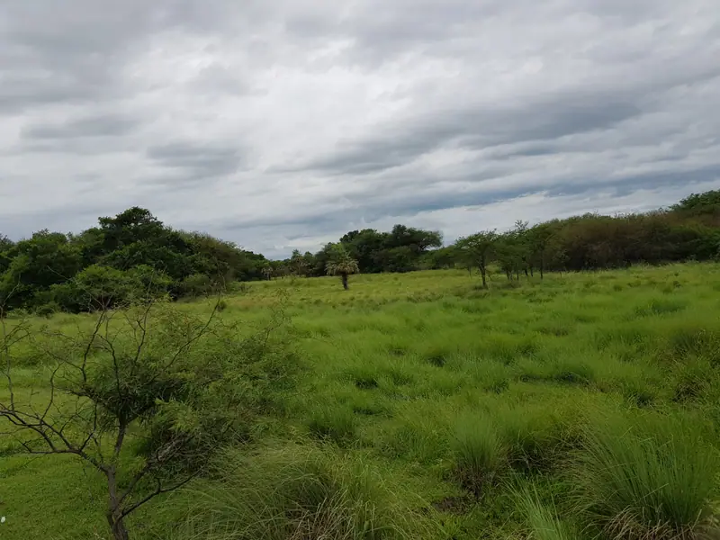 Campo ganadero de 1.611 ha con arroyo en Pirané: foto 3 de 6