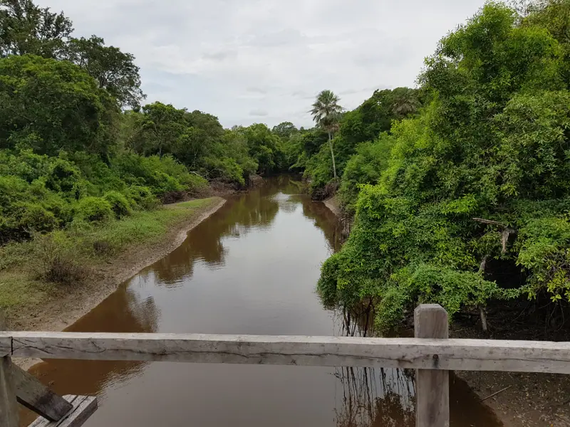 Campo ganadero de 1.611 ha con arroyo en Pirané: foto 4 de 6