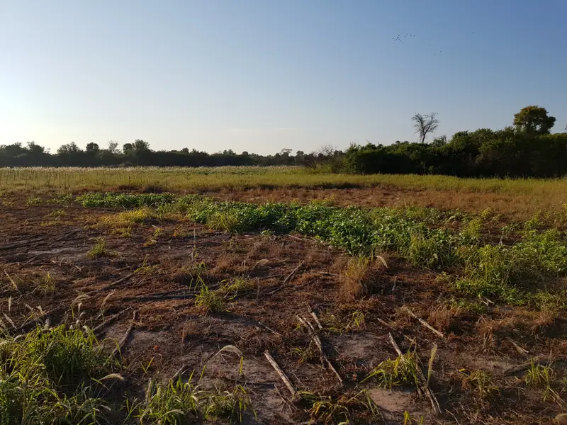 Campo agrícola de 89 ha en Tres Isletas: foto 3 de 6