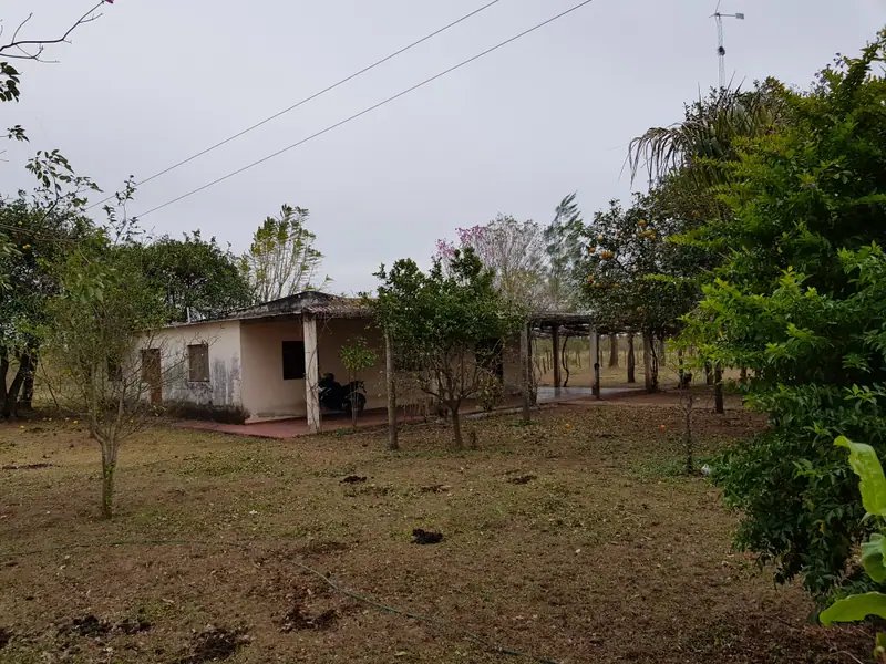 Campo ganadero de 8.283 ha en Estanislao del Campo: foto 3 de 6