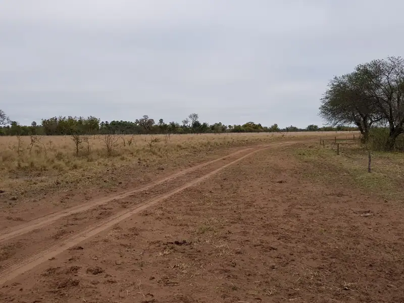 Campo ganadero de 8.283 ha en Estanislao del Campo: foto 4 de 6