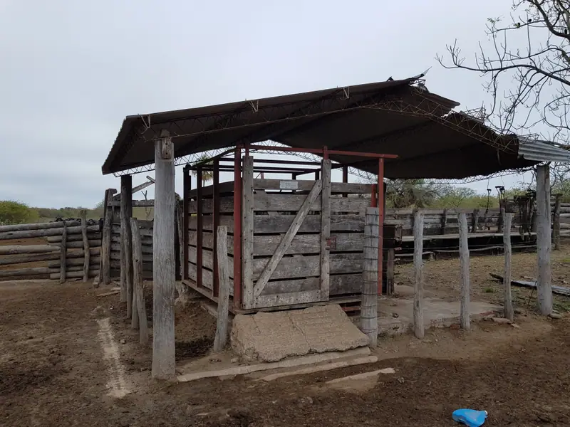 Campo ganadero de 8.283 ha en Estanislao del Campo: foto 5 de 6