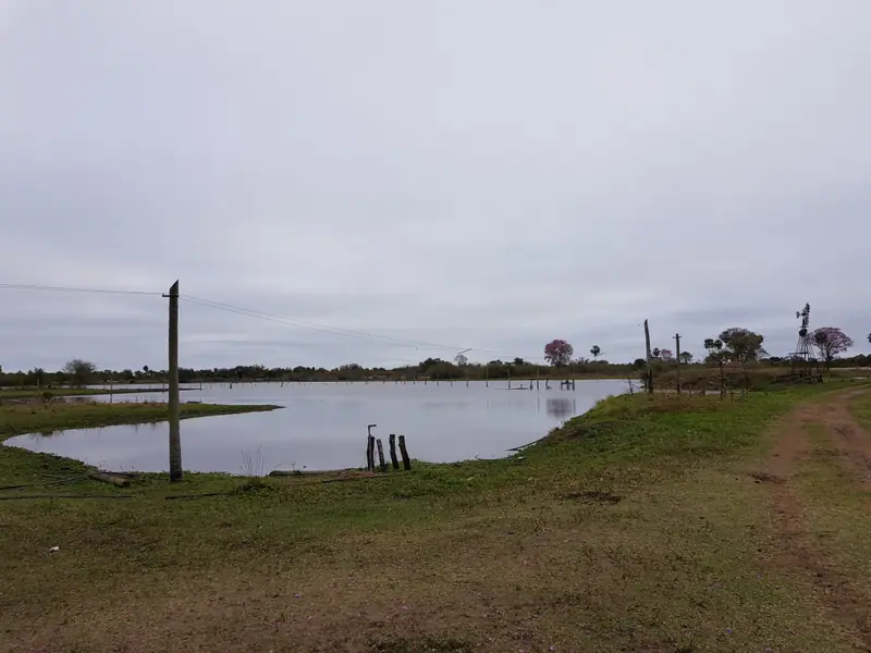 Campo ganadero de 8.283 ha en Estanislao del Campo: foto 6 de 6