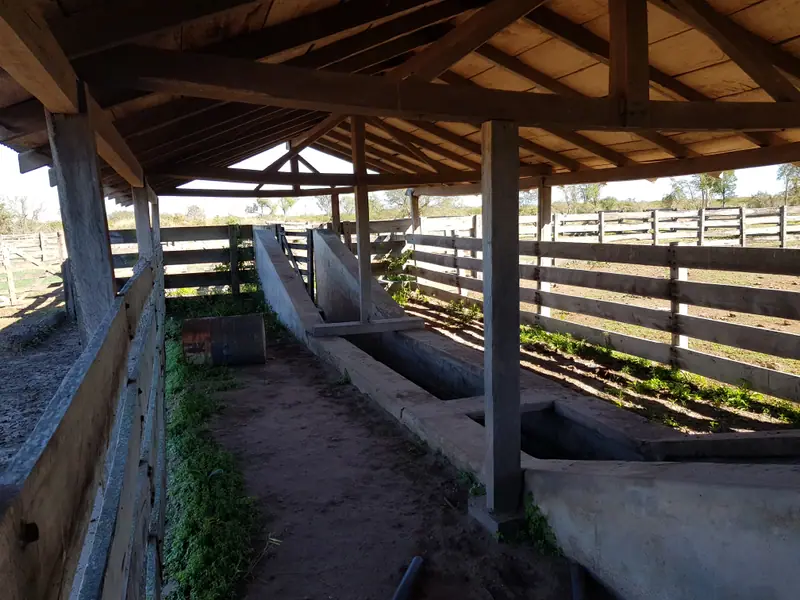 Campo de cría y recría de 12.150 ha en Bartolomé de las Casas: foto 4 de 6