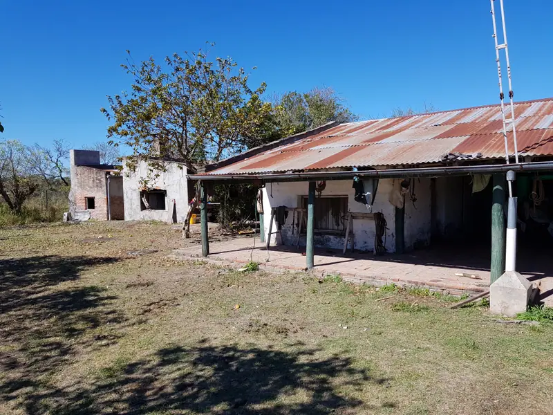 Campo de cría y recría de 12.150 ha en Bartolomé de las Casas: foto 5 de 6
