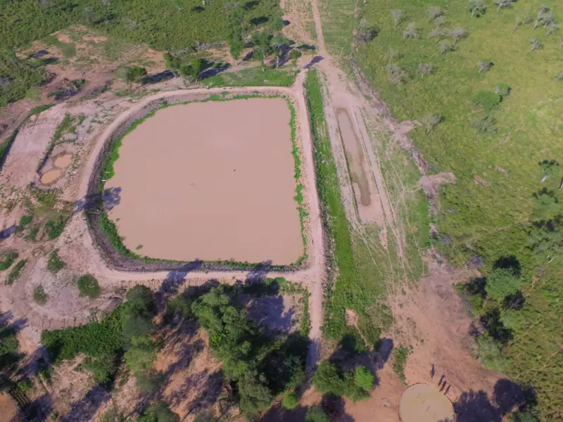 Campo de 2.039 ha con 450 ha de gatton panic en Los Chiriguanos: foto 2 de 6