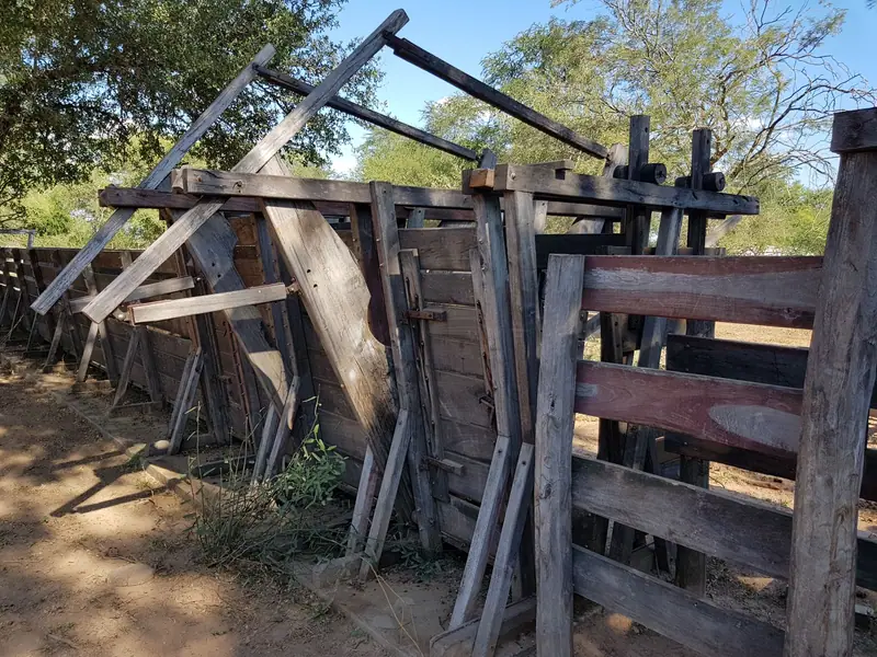 Campo de 2.039 ha con 450 ha de gatton panic en Los Chiriguanos: foto 6 de 6