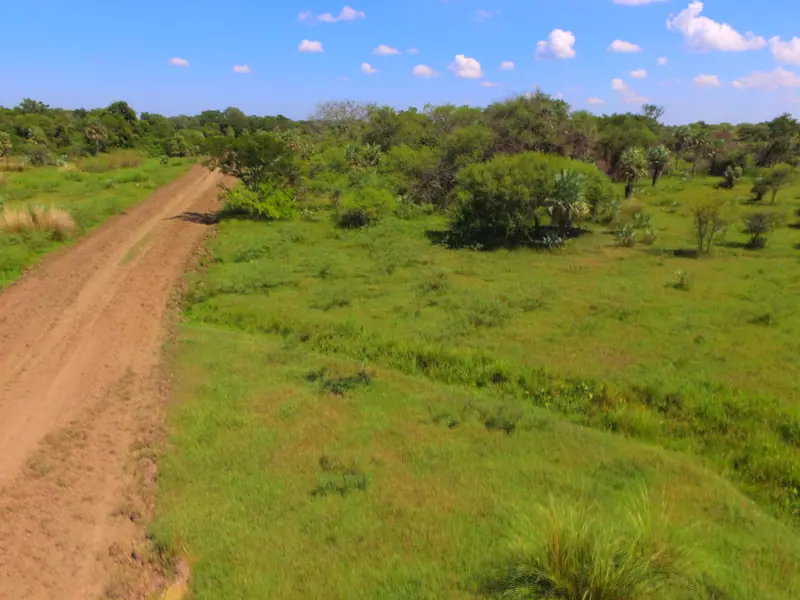 Campo de 6.708 ha sobre los ríos Paraguay y Bermejo: foto 3 de 6