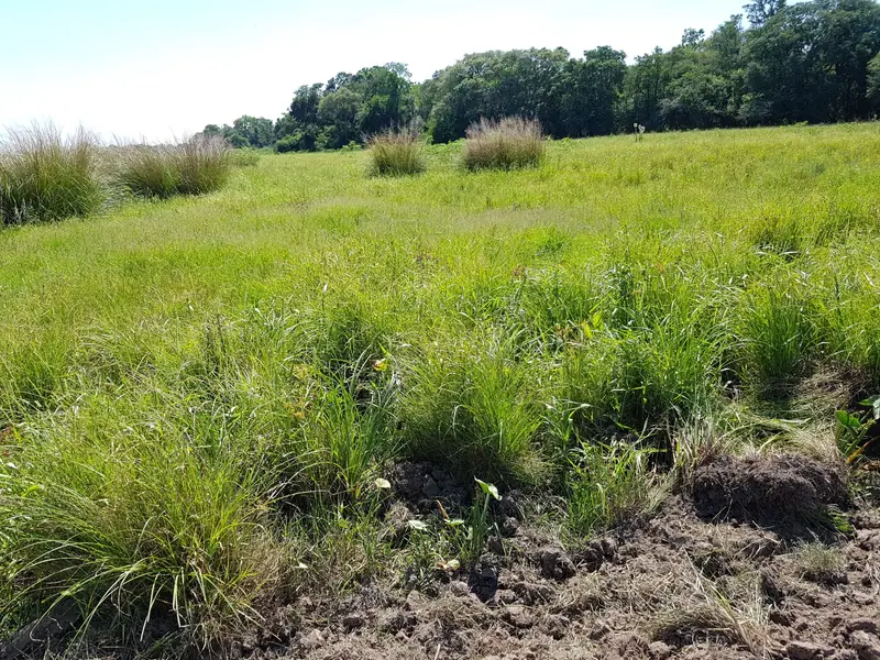 Campo de 6.708 ha sobre los ríos Paraguay y Bermejo: foto 5 de 6
