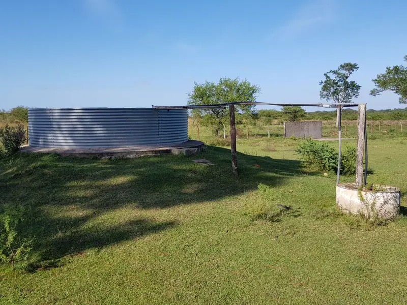 Campo ganadero de 687 ha, base de una cabaña Braford, en Felipe Yofre: foto 2 de 6