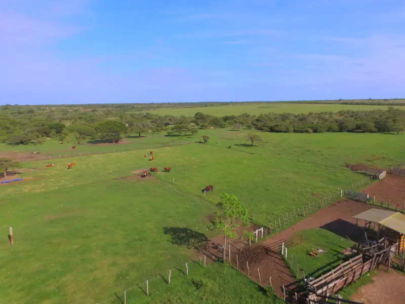 Campo ganadero de 687 ha, base de una cabaña Braford, en Felipe Yofre: foto 3 de 6