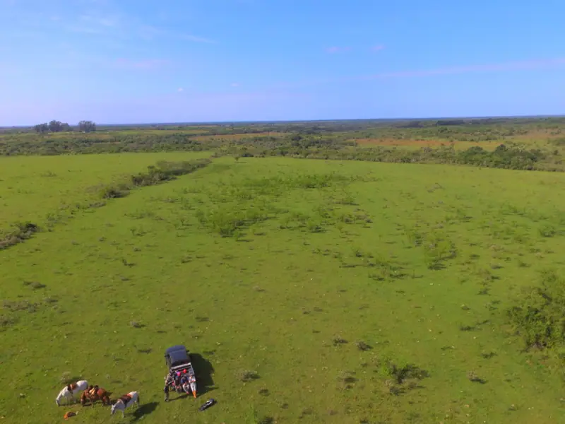 Campo ganadero de 687 ha, base de una cabaña Braford, en Felipe Yofre: foto 6 de 6