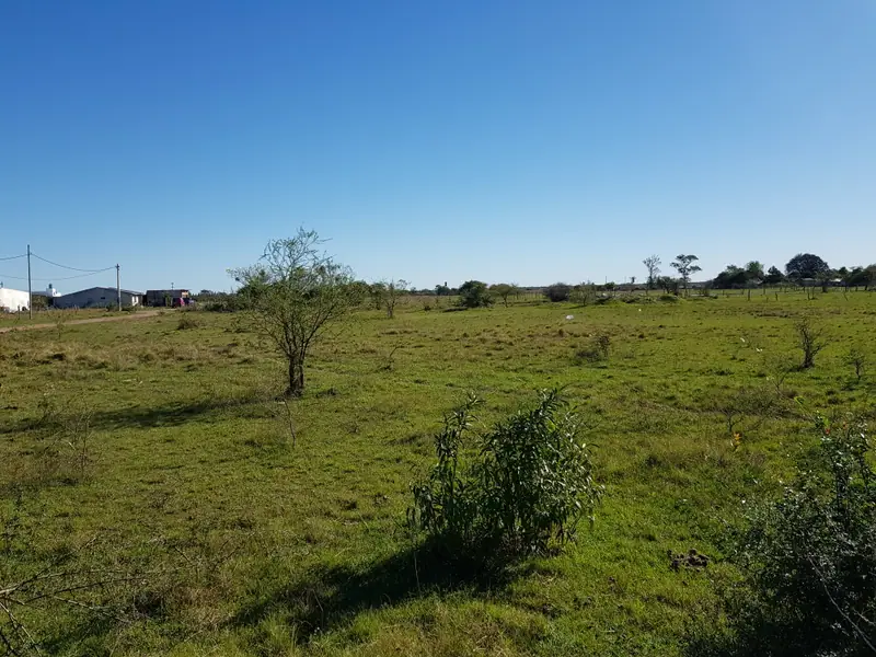 Lote de 7.040 m² en Barrio San Martín, Mercedes: foto 2 de 5