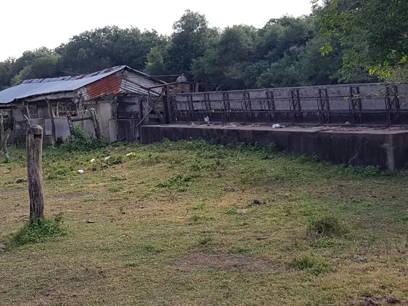 Campo mixto de 1.300 ha en Paraje Capitá Miní, Mercedes: foto 2 de 5