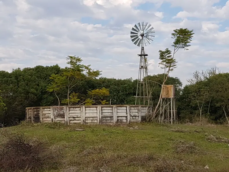 Campo mixto de 1.300 ha en Paraje Capitá Miní, Mercedes: foto 4 de 5