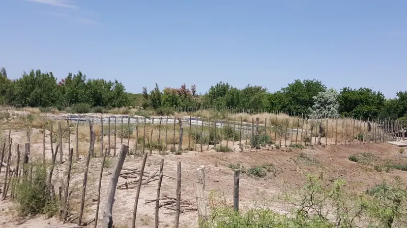 Estancia de 94.149 ha a tranquera cerrada en San Carlos, Mendoza: foto 2 de 6