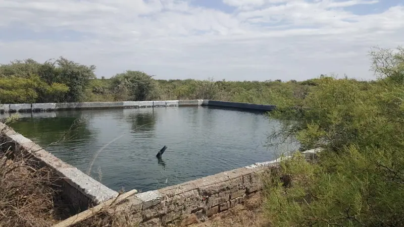 Estancia de 94.149 ha a tranquera cerrada en San Carlos, Mendoza: foto 4 de 6