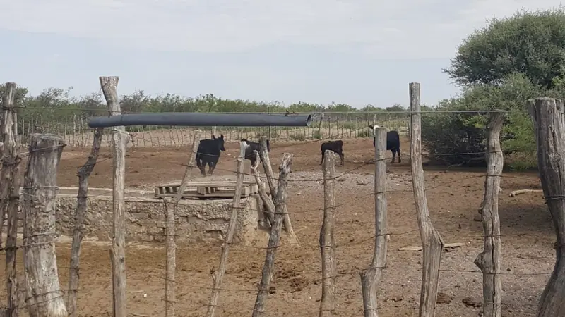 Estancia de 94.149 ha a tranquera cerrada en San Carlos, Mendoza: foto 5 de 6