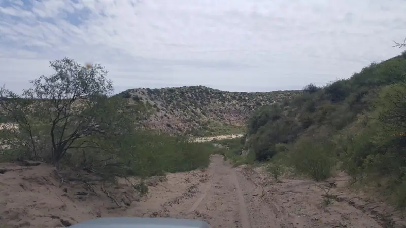 Estancia de 94.149 ha a tranquera cerrada en San Carlos, Mendoza: foto 6 de 6