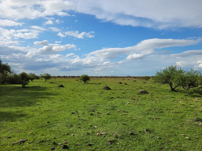 Campo ganadero de cría de 443 ha en San Salvador: foto 3 de 6