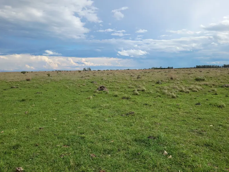 Campo ganadero de cría de 443 ha en San Salvador: foto 5 de 6