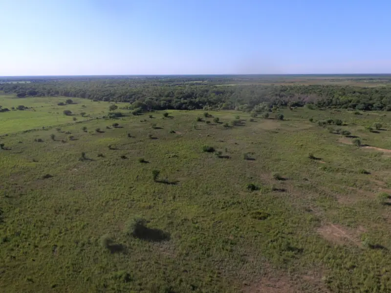 Campo agrícola y ganadero de 31 ha en Pirané: foto 2 de 5