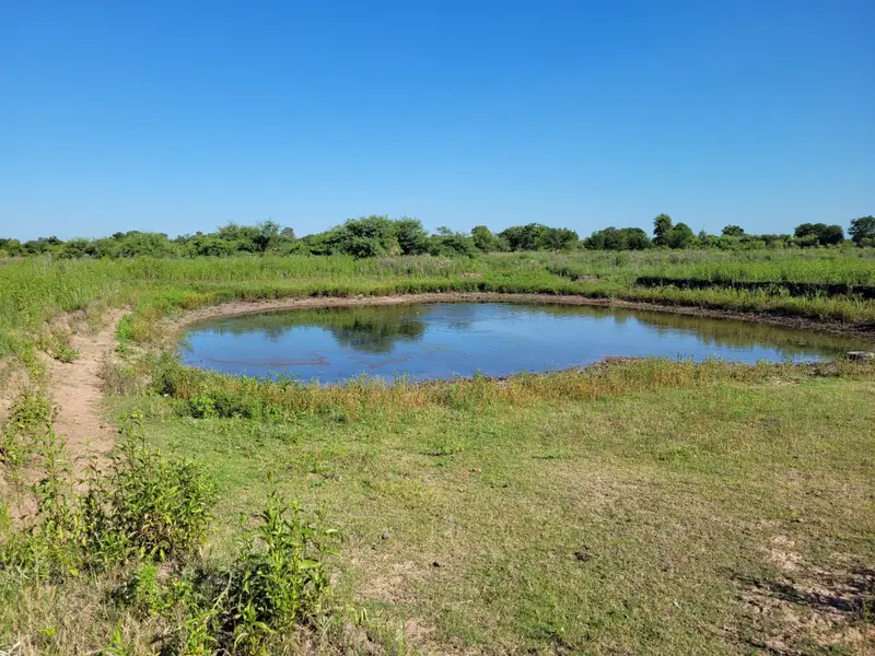 Campo agrícola y ganadero de 31 ha en Pirané: foto 3 de 5