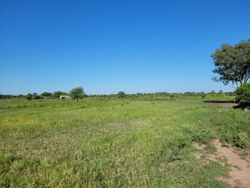 Campo agrícola y ganadero de 31 ha en Pirané: foto 5 de 5