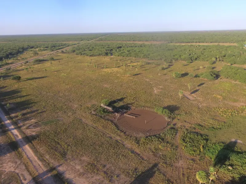 Campo mixto de 1.863 ha sobre asfalto en Estanislao del Campo: foto 2 de 8