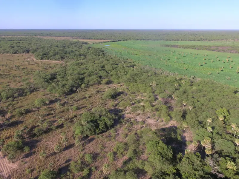 Campo mixto de 1.863 ha sobre asfalto en Estanislao del Campo: foto 3 de 8