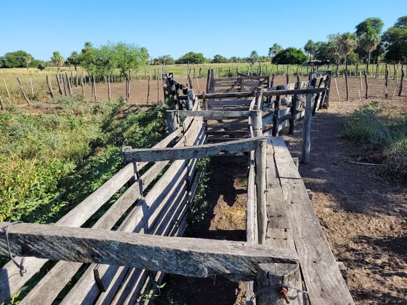 Campo mixto de 1.863 ha sobre asfalto en Estanislao del Campo: foto 6 de 8