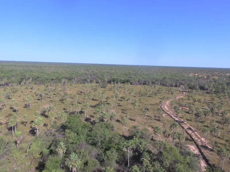 Campo mixto de 1.863 ha sobre asfalto en Estanislao del Campo: foto 8 de 8