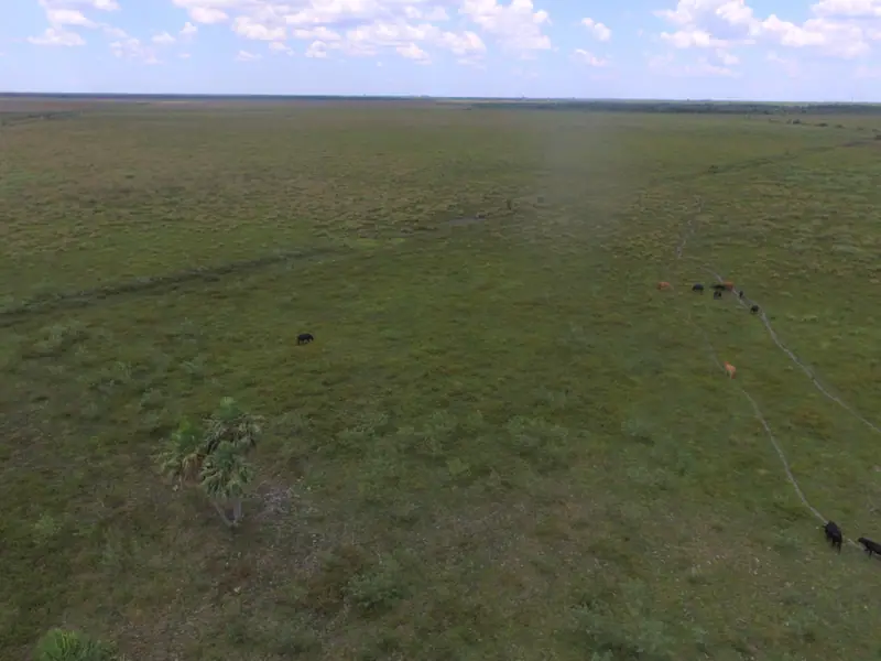 Campo de 1.846 ha a tranquera cerrada a 18 km de Formosa: foto 3 de 7