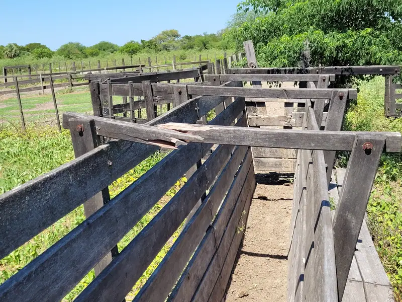Campo de 1.846 ha a tranquera cerrada a 18 km de Formosa: foto 6 de 7