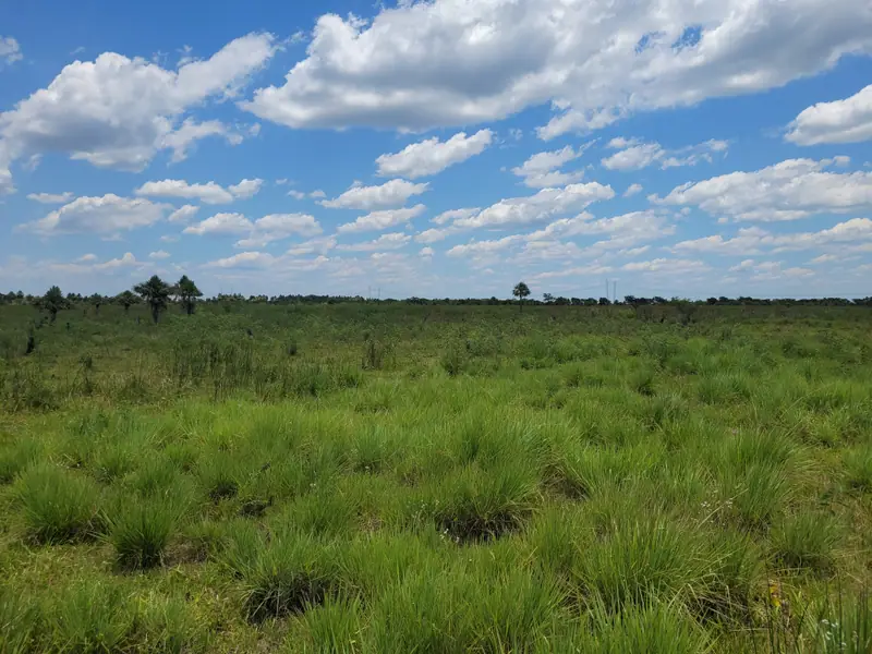 Campo de 1.846 ha a tranquera cerrada a 18 km de Formosa: foto 7 de 7