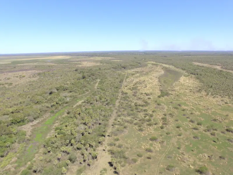 Campo ganadero de 600 ha con luz eléctrica en Colonia Tacuarí: foto 2 de 7