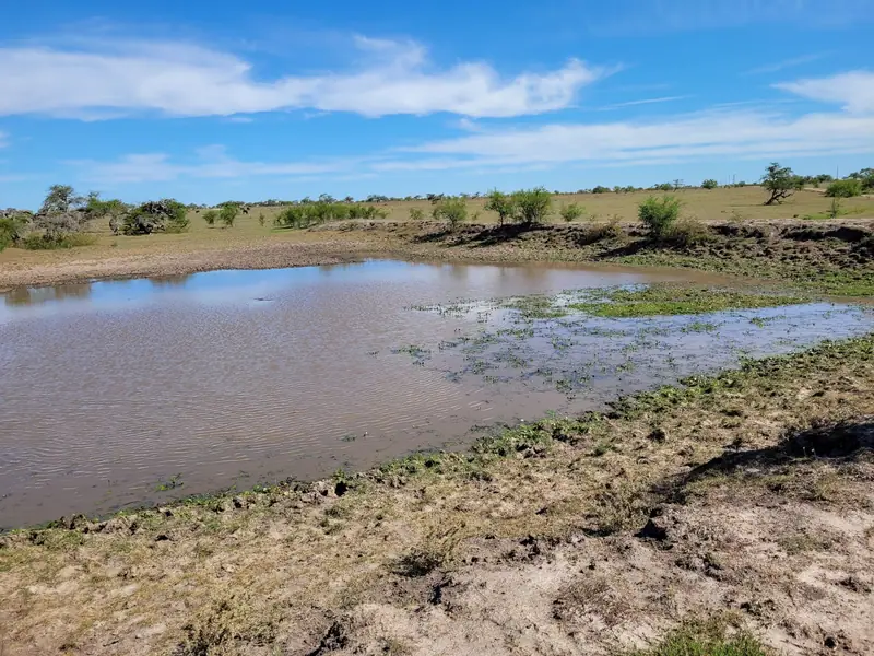 Campo mixto de 95 ha con casa nueva a 15 km de Mercedes: foto 2 de 5
