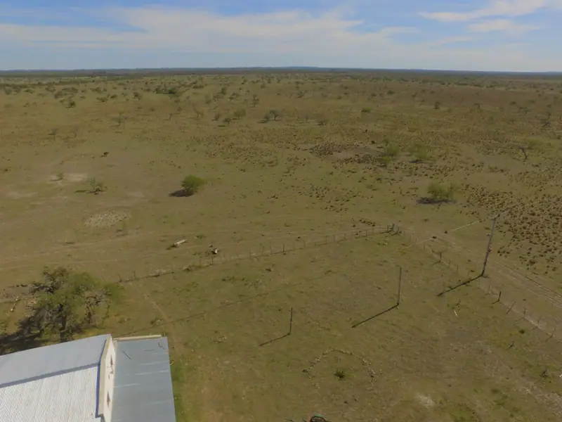Campo mixto de 95 ha con casa nueva a 15 km de Mercedes: foto 4 de 5