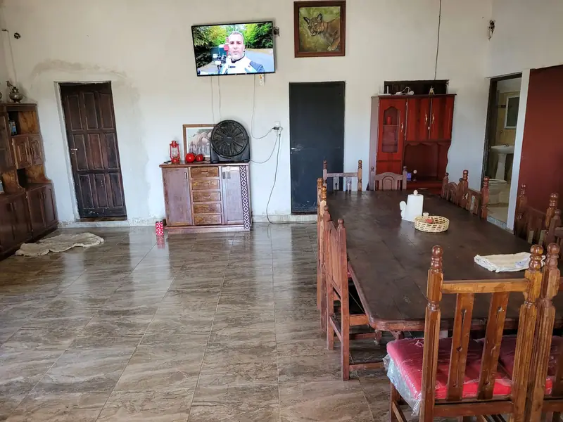 Campo mixto de 95 ha con casa nueva a 15 km de Mercedes: foto 5 de 5