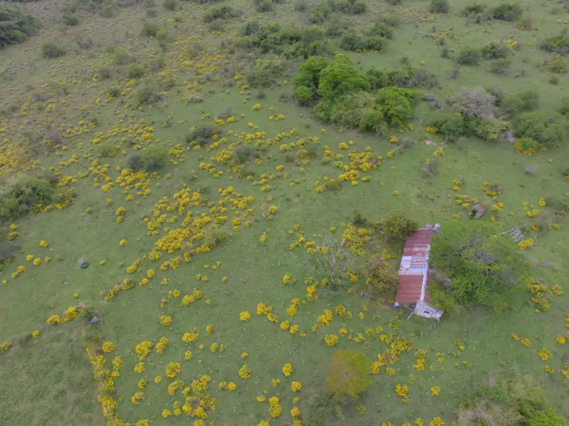 Campo mixto de 92,18 ha con arroyo en Paraje Boquerón: foto 4 de 7