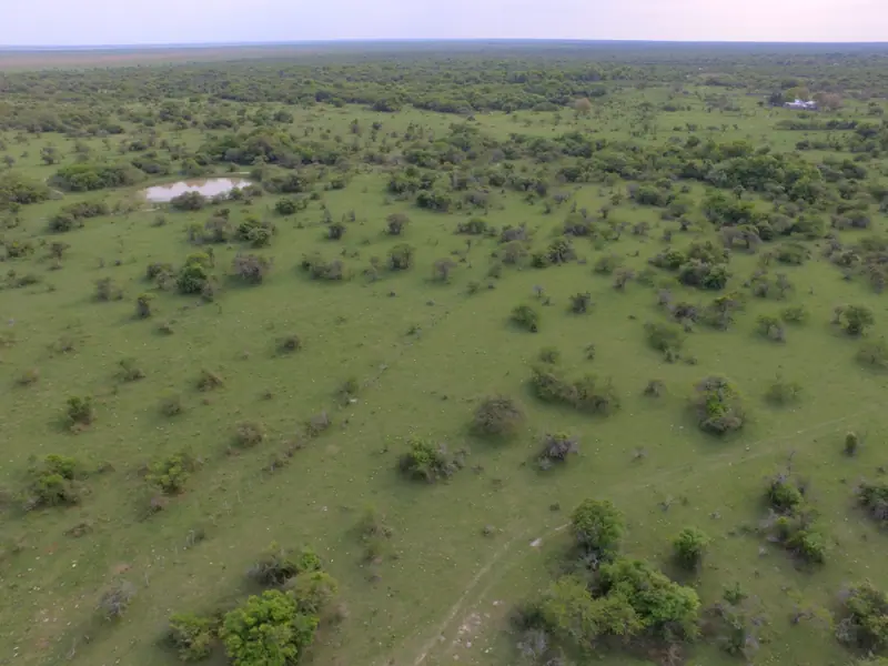 Campo mixto de 92,18 ha con arroyo en Paraje Boquerón: foto 5 de 7