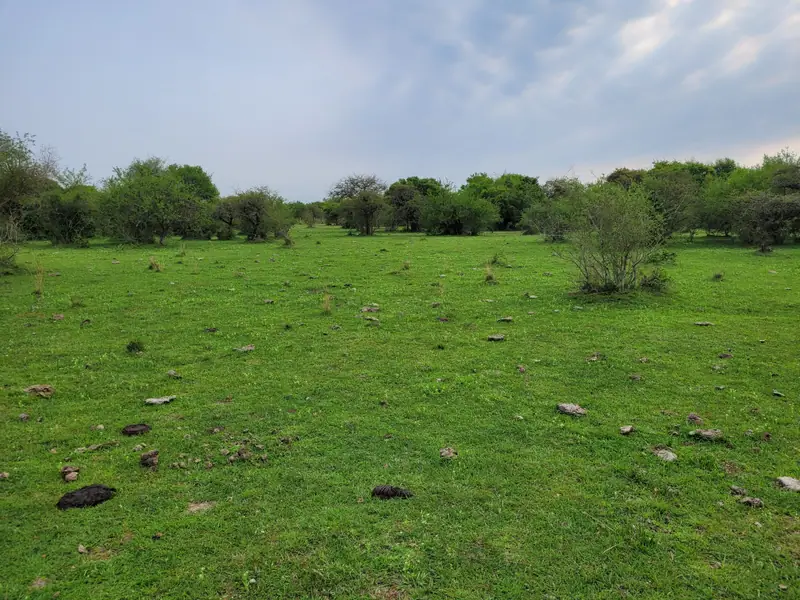 Campo mixto de 92,18 ha con arroyo en Paraje Boquerón: foto 6 de 7