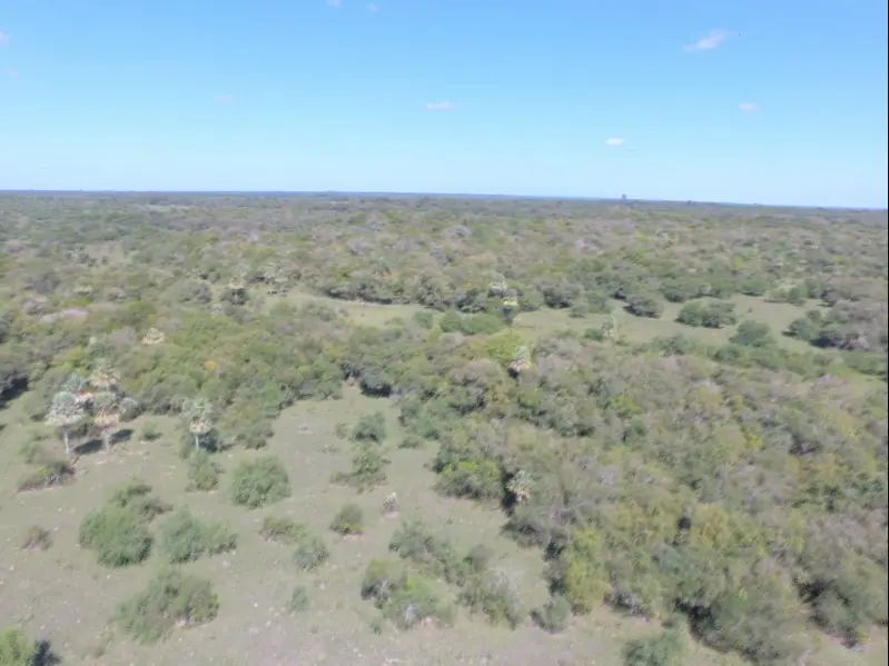 Campo de 45 ha con casa y perforaciones en Paraje Boquerón: foto 3 de 10