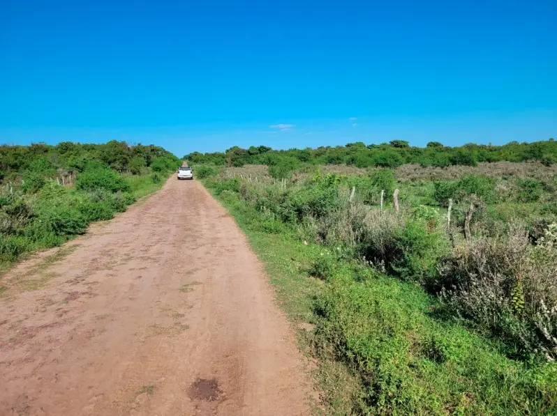 Campo de 45 ha con casa y perforaciones en Paraje Boquerón: foto 4 de 10