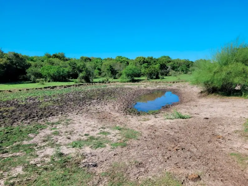 Campo de 45 ha con casa y perforaciones en Paraje Boquerón: foto 6 de 10