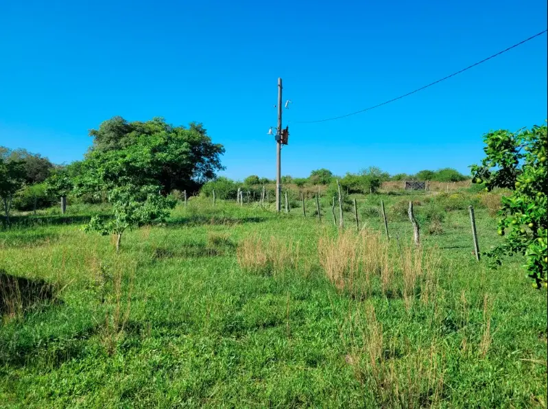 Campo de 45 ha con casa y perforaciones en Paraje Boquerón: foto 7 de 10