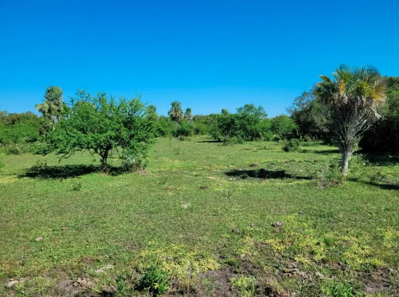 Campo de 45 ha con casa y perforaciones en Paraje Boquerón: foto 8 de 10