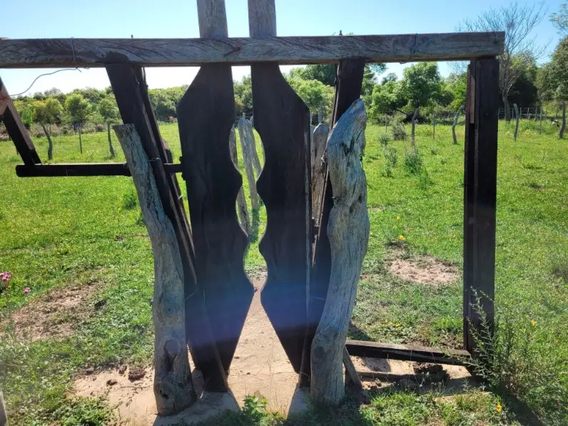Campo de 45 ha con casa y perforaciones en Paraje Boquerón: foto 10 de 10