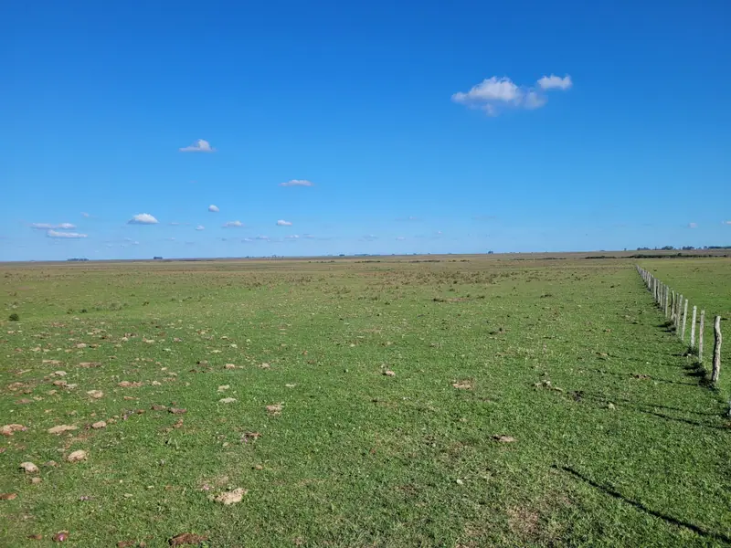 Campo mixto de 110 ha a 23 km de Mercedes: foto 3 de 10