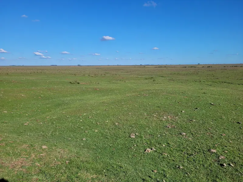 Campo mixto de 110 ha a 23 km de Mercedes: foto 4 de 10